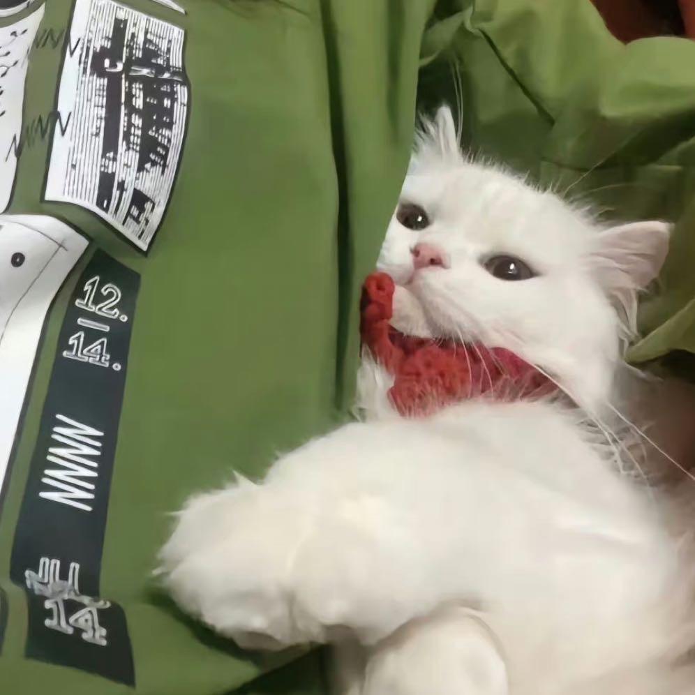 o茉莉奶绿好好喝