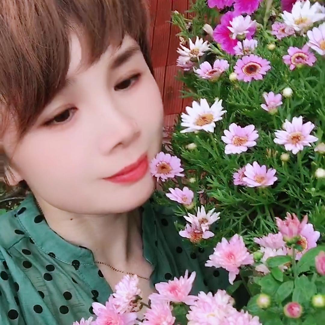 白梅