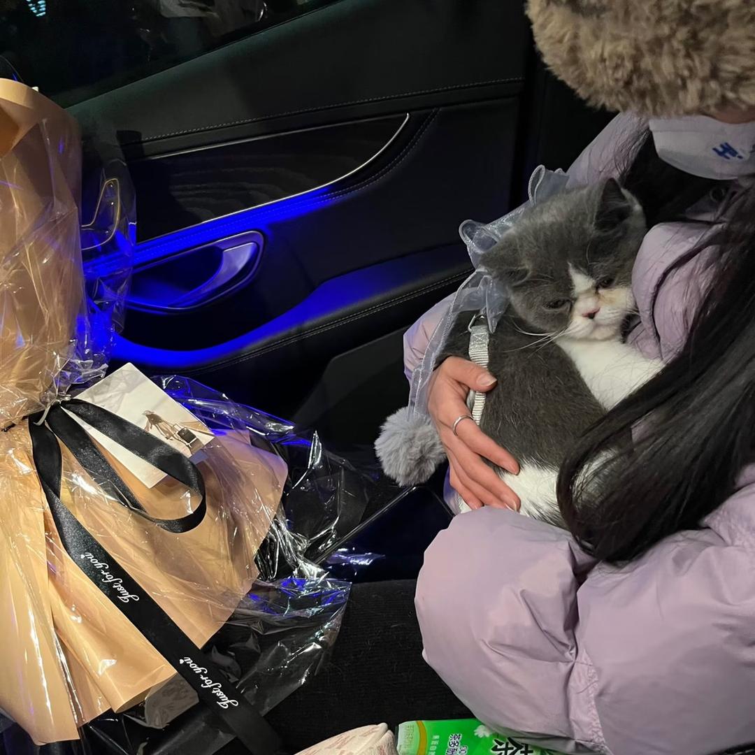 一坨肥猫🐱