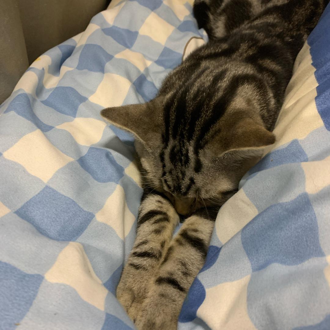 能量魔方-小舒教练