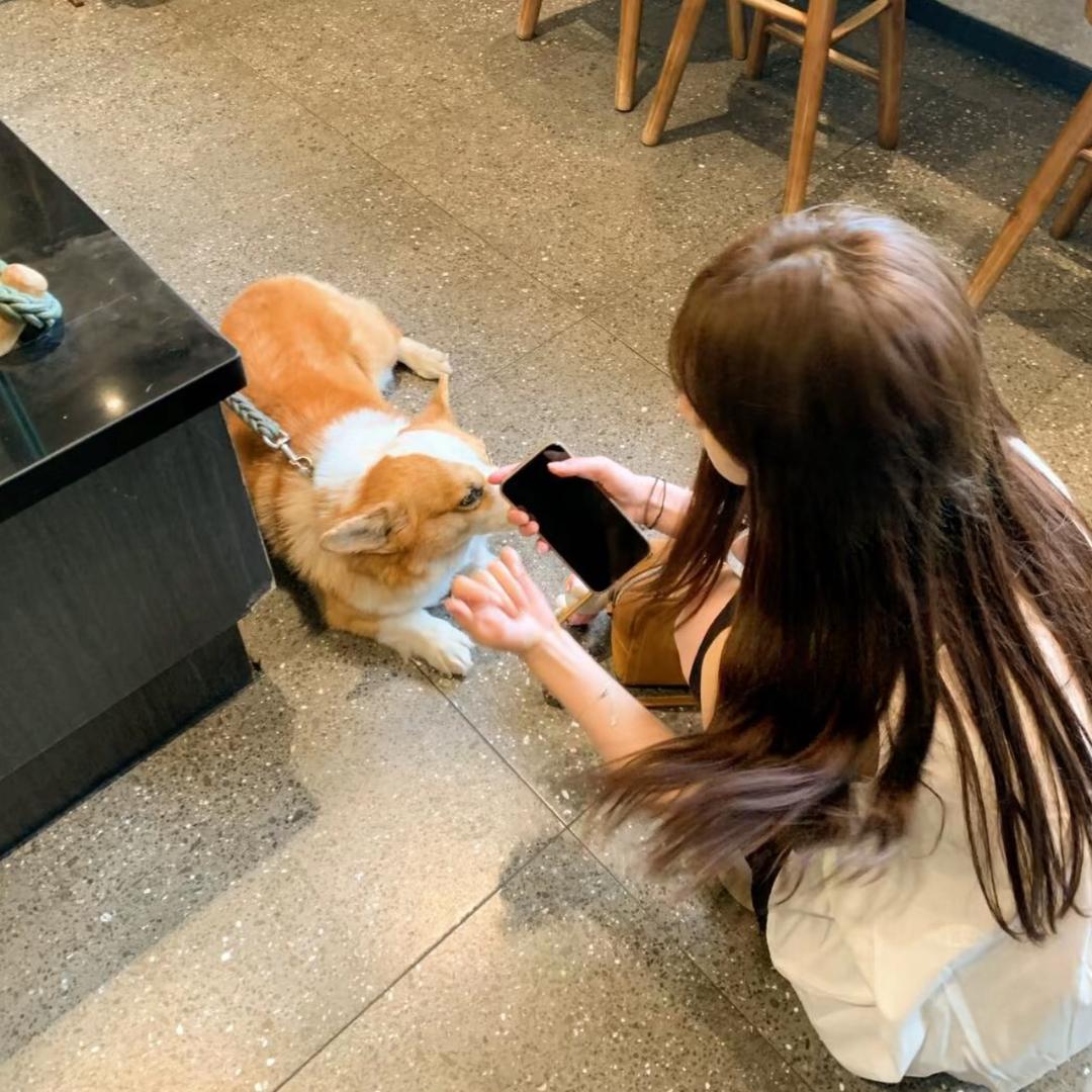 星期八和你约会