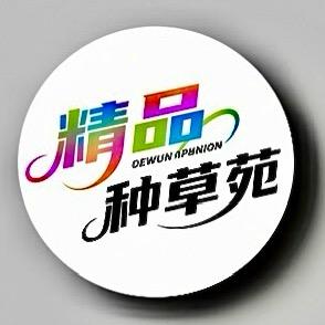 江南一叶