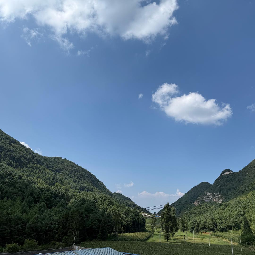 山野泥韵