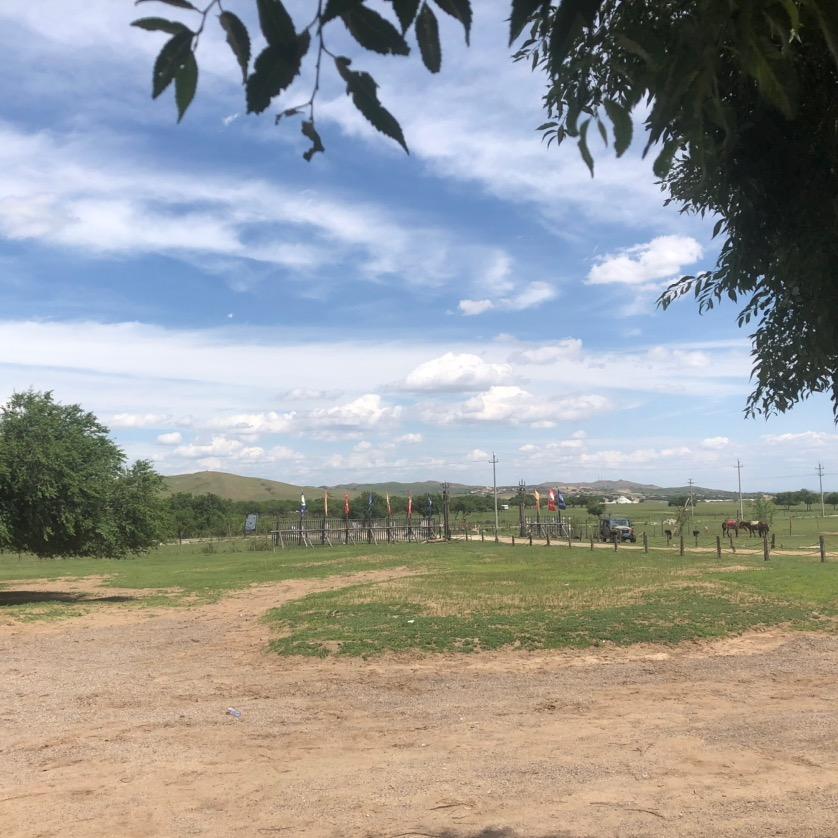 🐱悠悠我心🌺