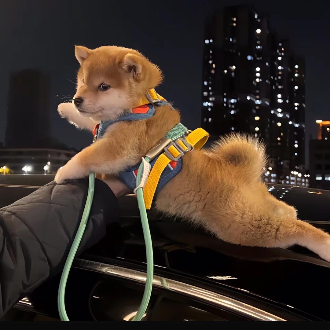 把脑浆摇匀了再说话