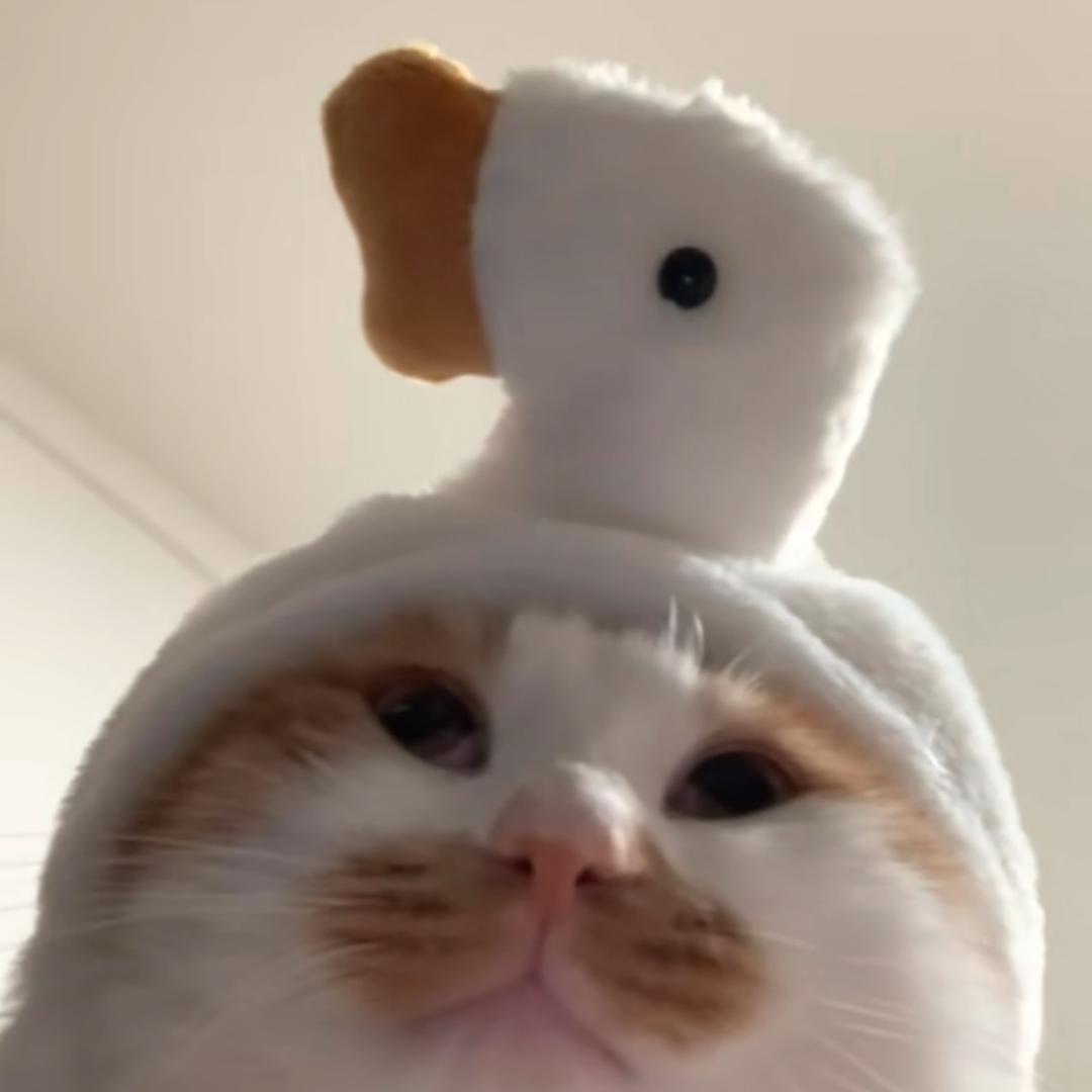 咪咪子