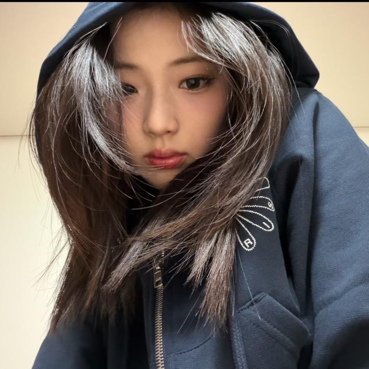 京畿道兔子狗
