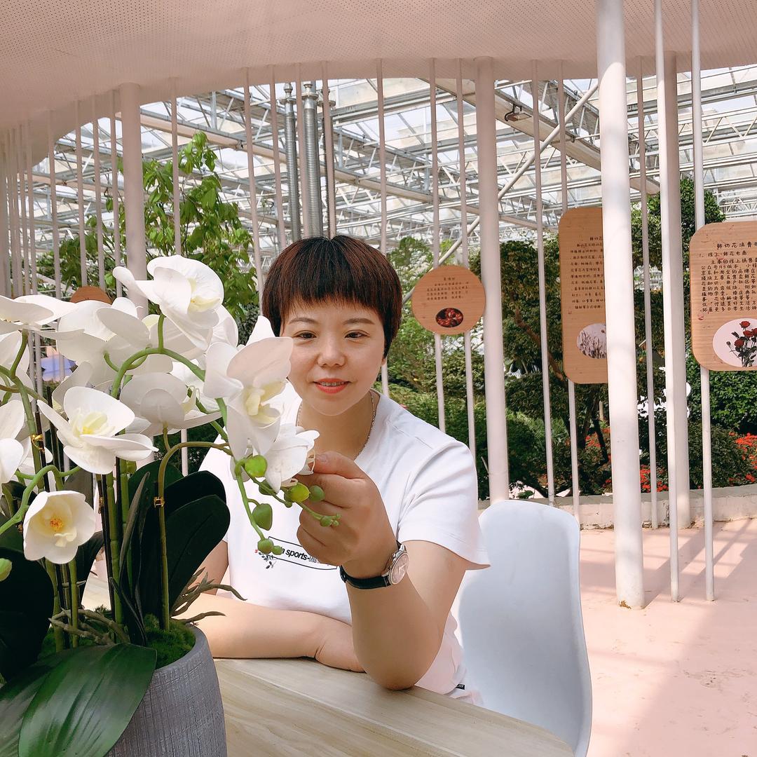 红姐看白咨询工作室