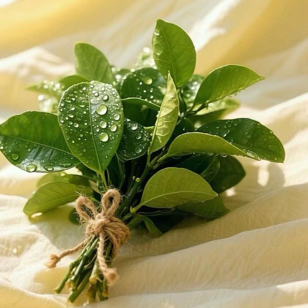 大悟精心装饰小萌