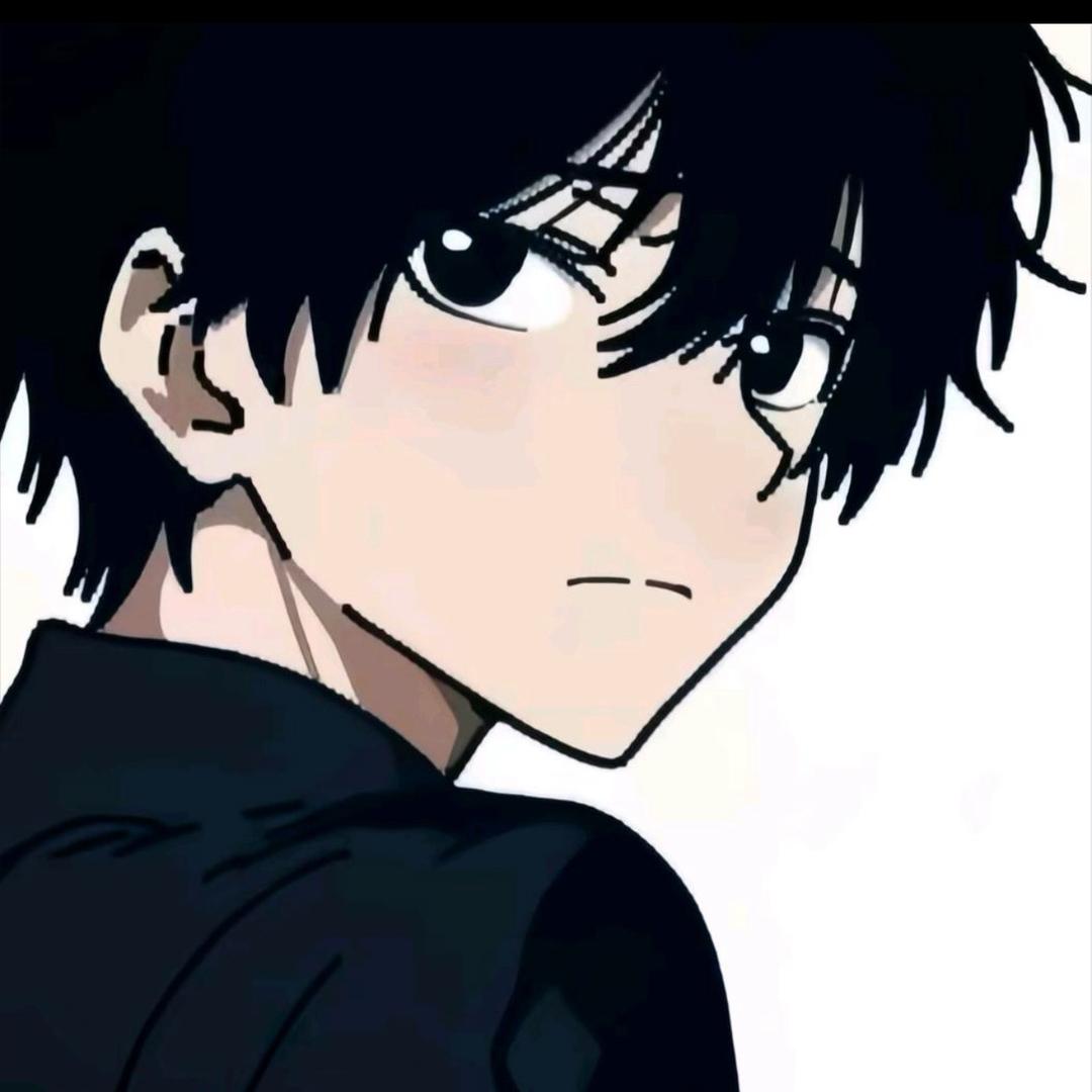 cs2入璇