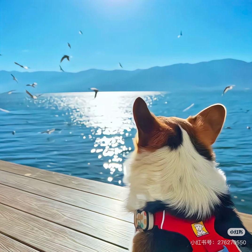 莲下音乐老师kiki