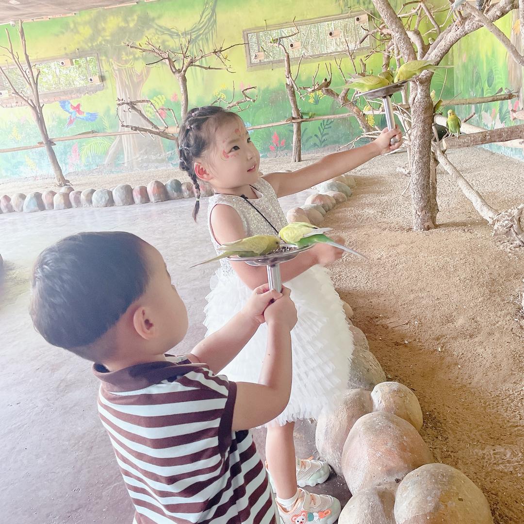 大洛洛和小年年