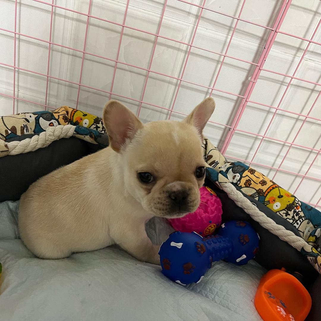 秀（请勿连赞）