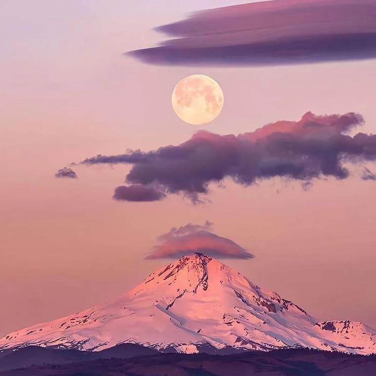 静静优品严选店1