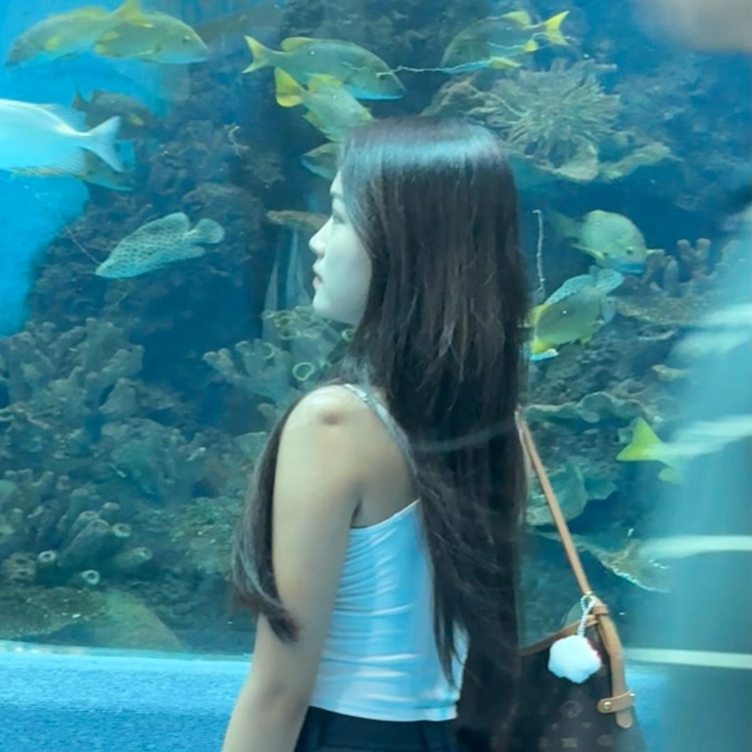 Sun小小