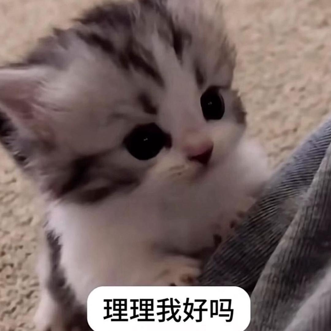 理理我好吗