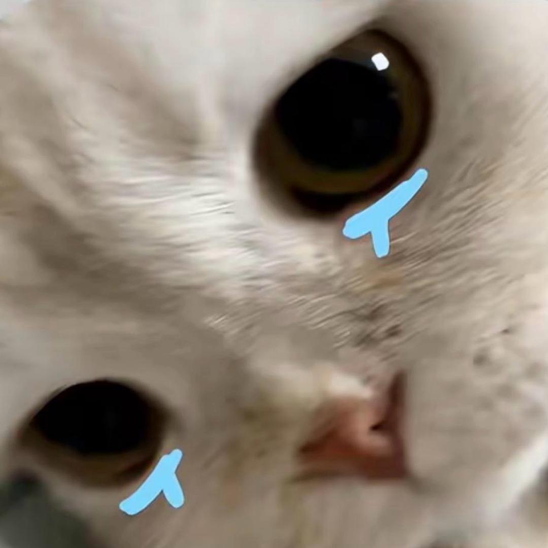 一天八百个情绪