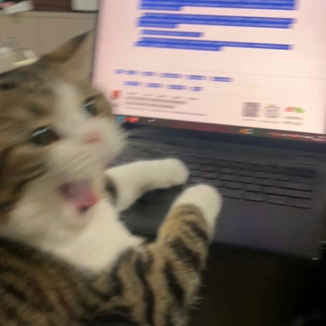 aoki