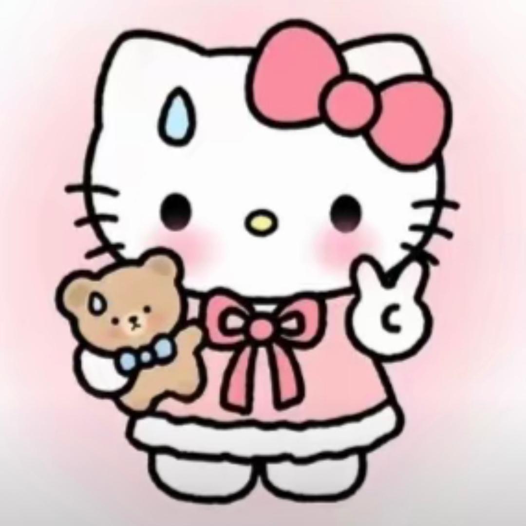 我要上公办本科