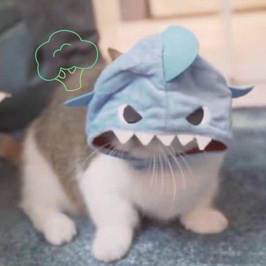 犯困的汉堡包ᴿᙆ