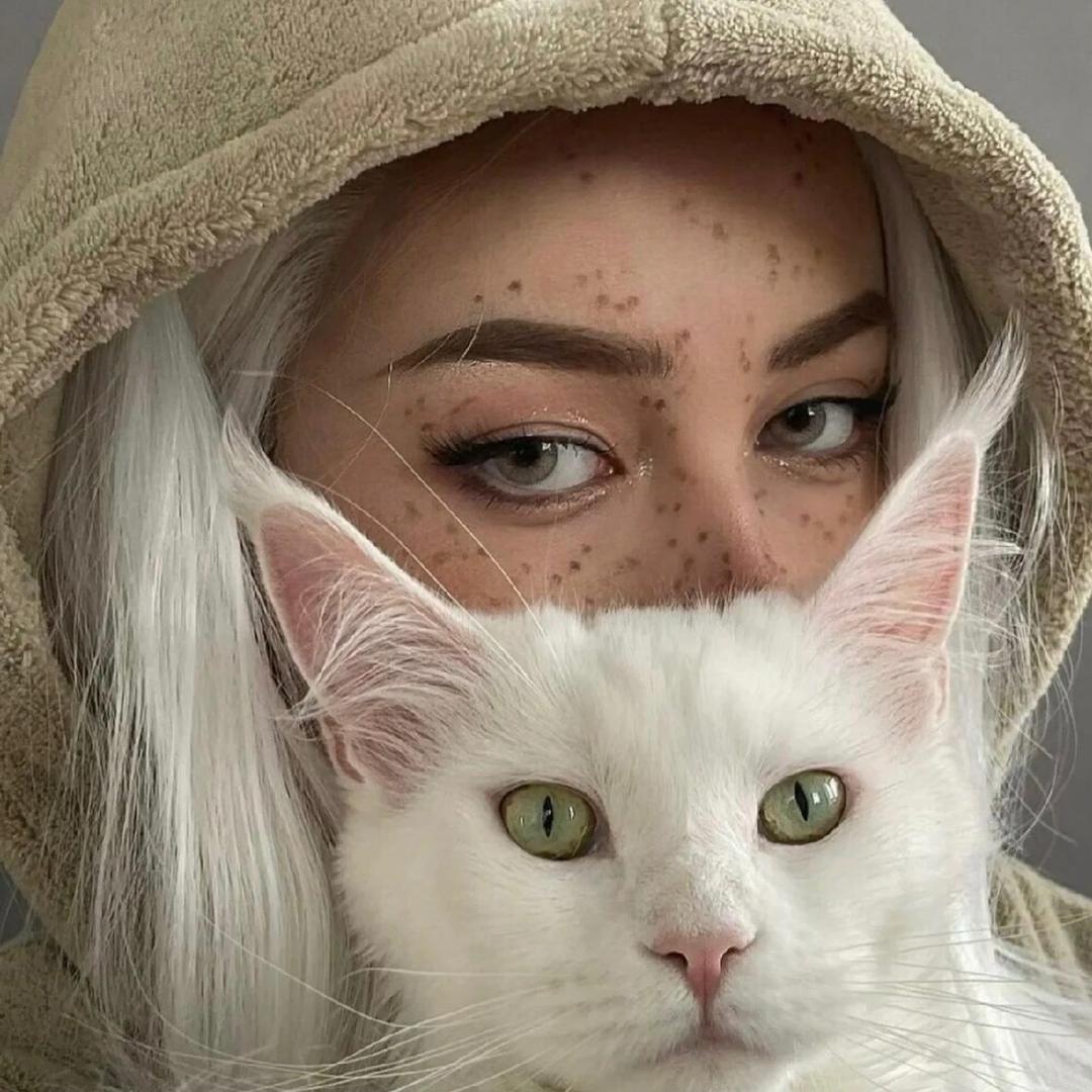 🐈  ·