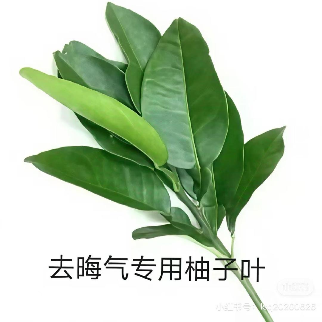 瑤.