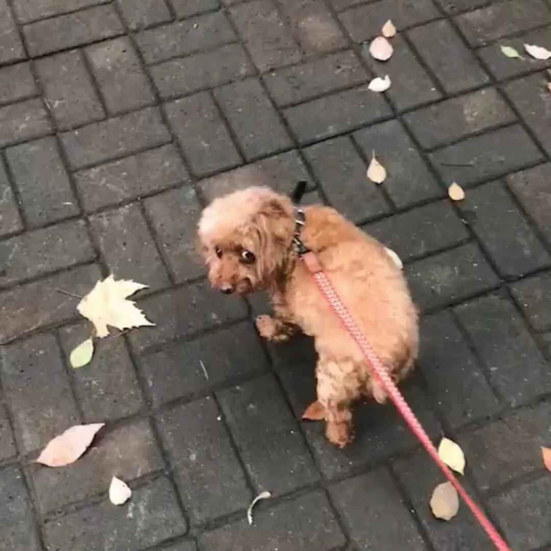 ～过来吃辣条～