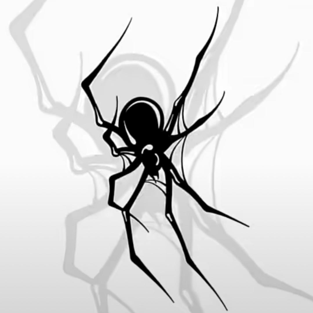 蜘蛛没有八条腿