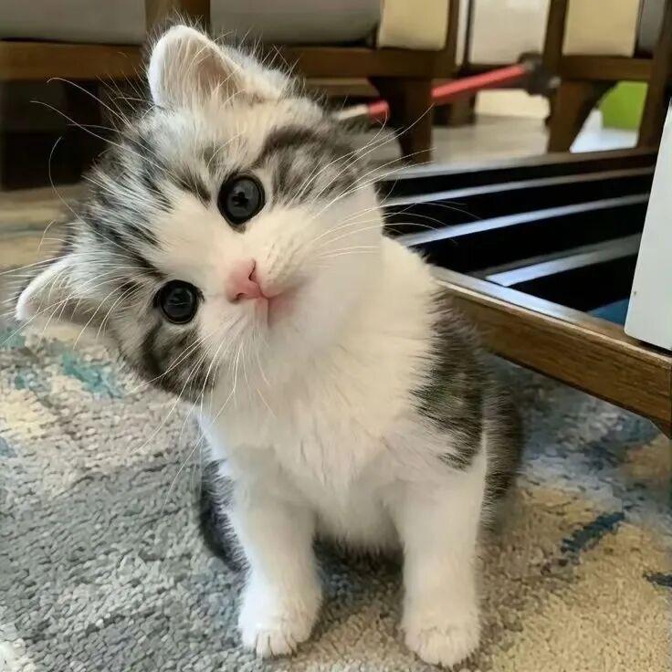 68岁离异带两娃