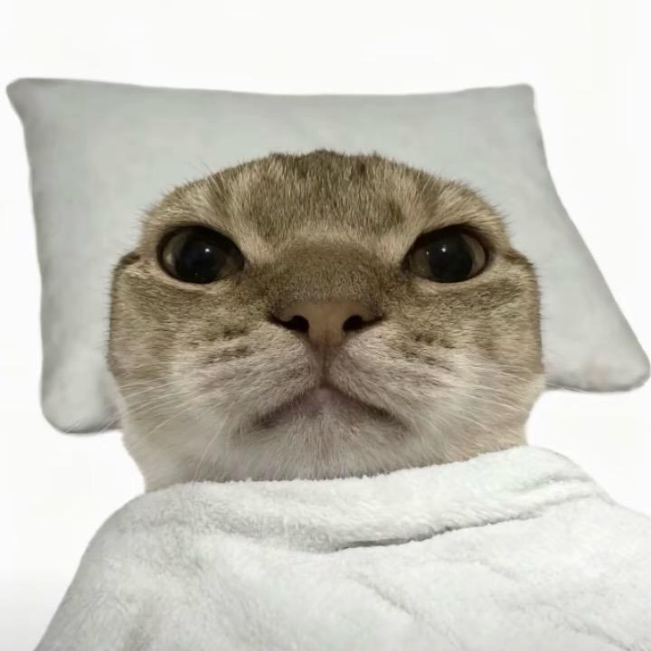 缅甸卖的小林