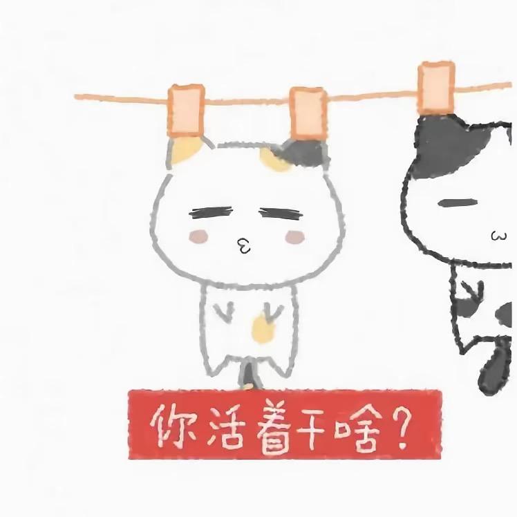 为没脑子的烧纸痛哭