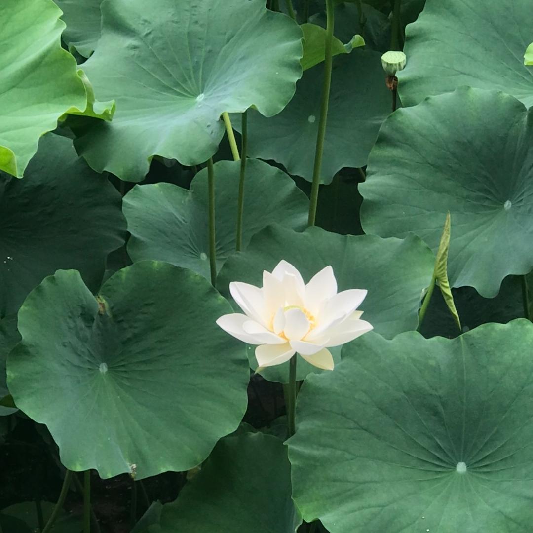 团结拼搏