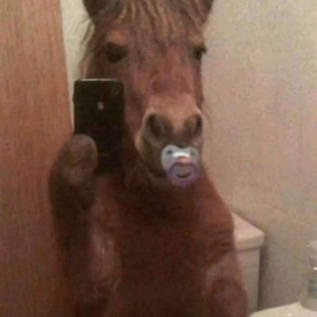 萨奇马大王（200斤沉淀版）