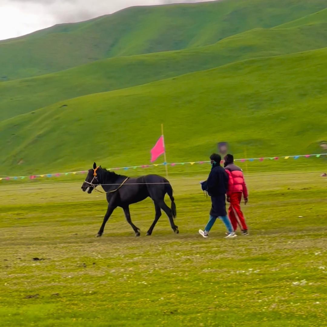 ༄:¥LunZhuo།༄🌻