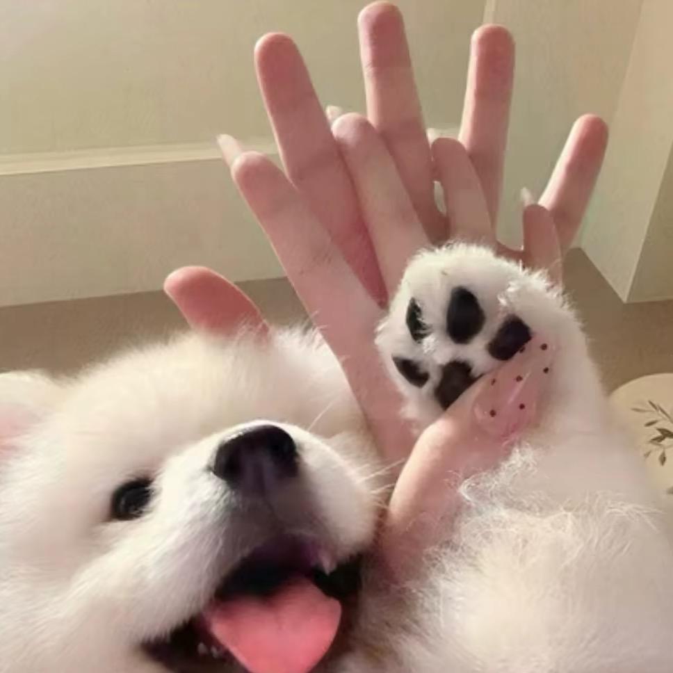 一个很可爱的人