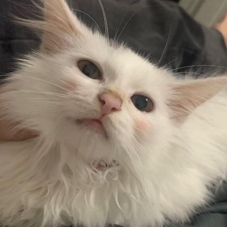 抱紧我的麻衣桑