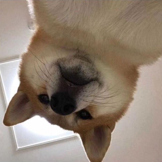 柠