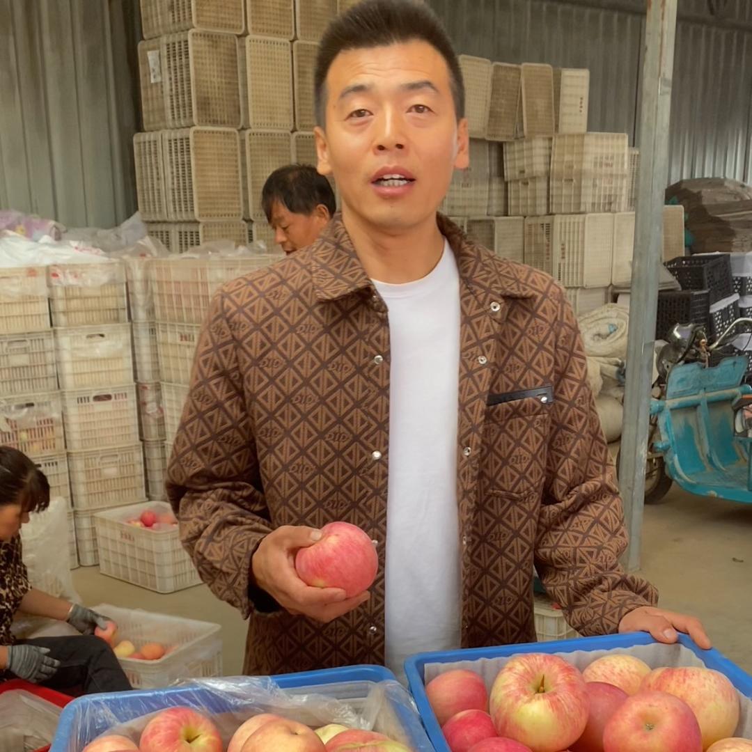 洛川苹果分拣中心@辉辉@