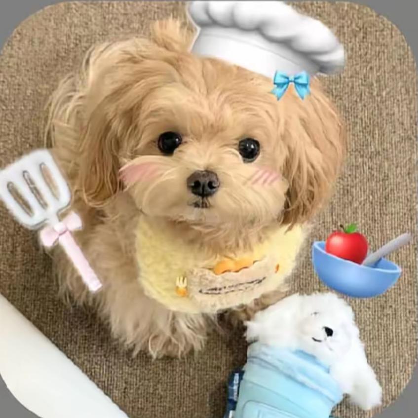 菜菜嘟那咋了💚