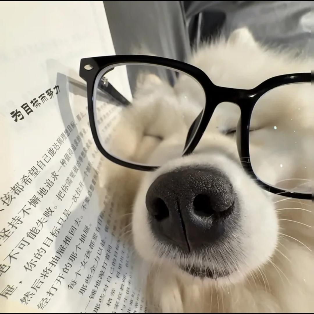 士多啤梨苹果橙