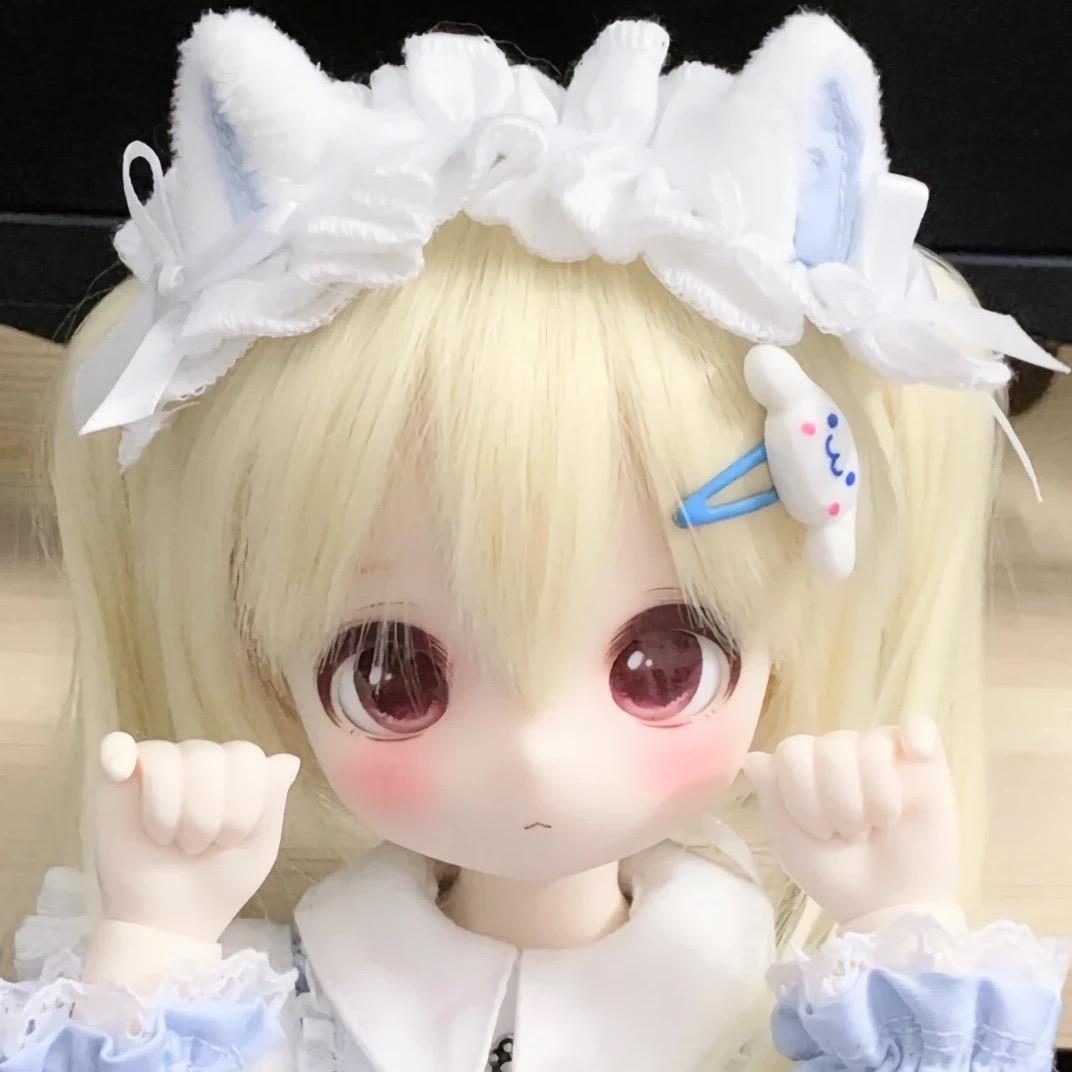猫猫猫猫萝Qwq