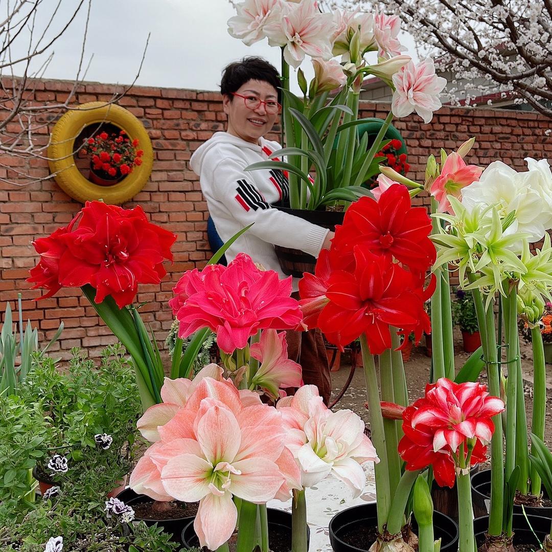 花鸟祖源