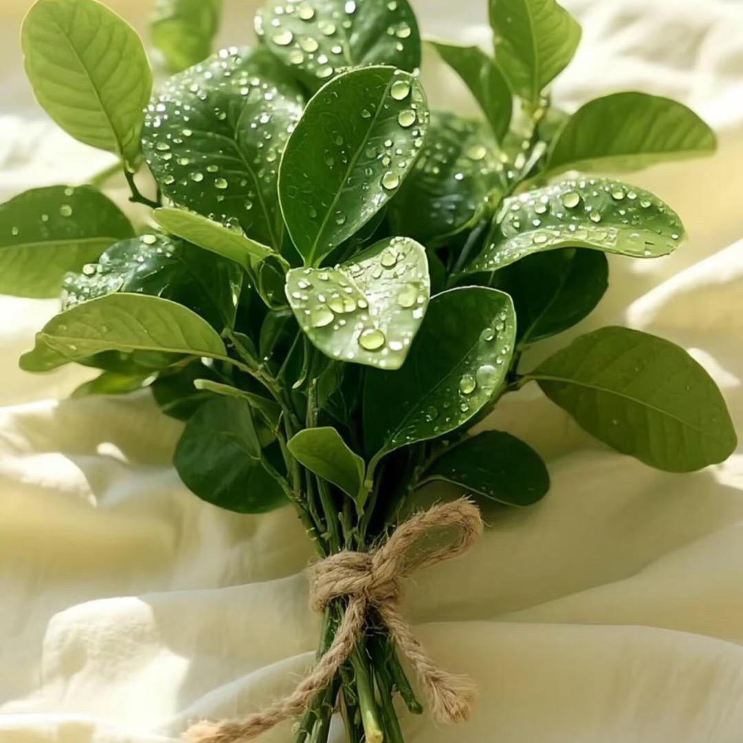 小周女装工厂店