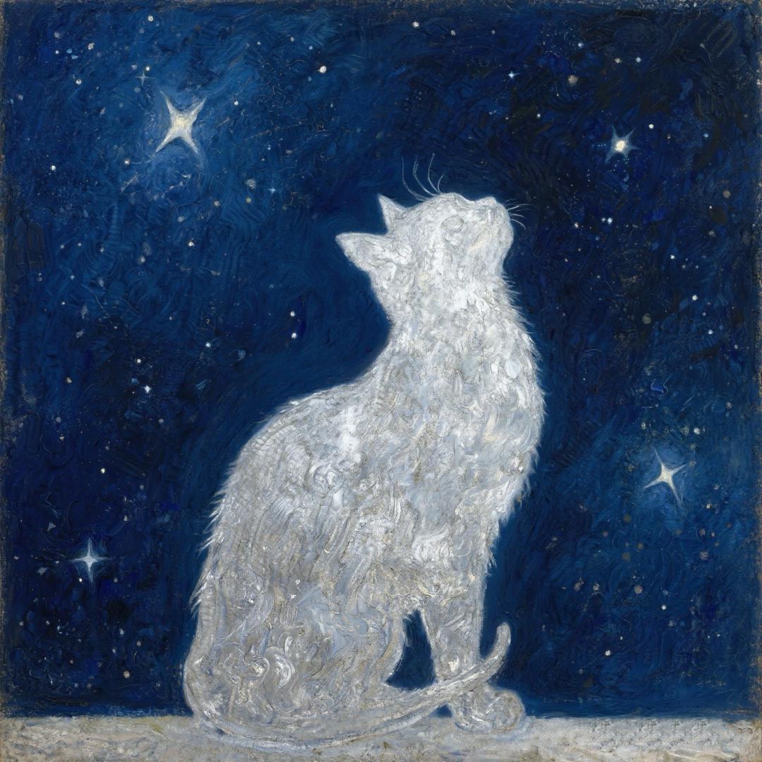 玄猫鉴星🔮