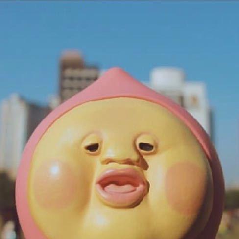 -张凤梨-