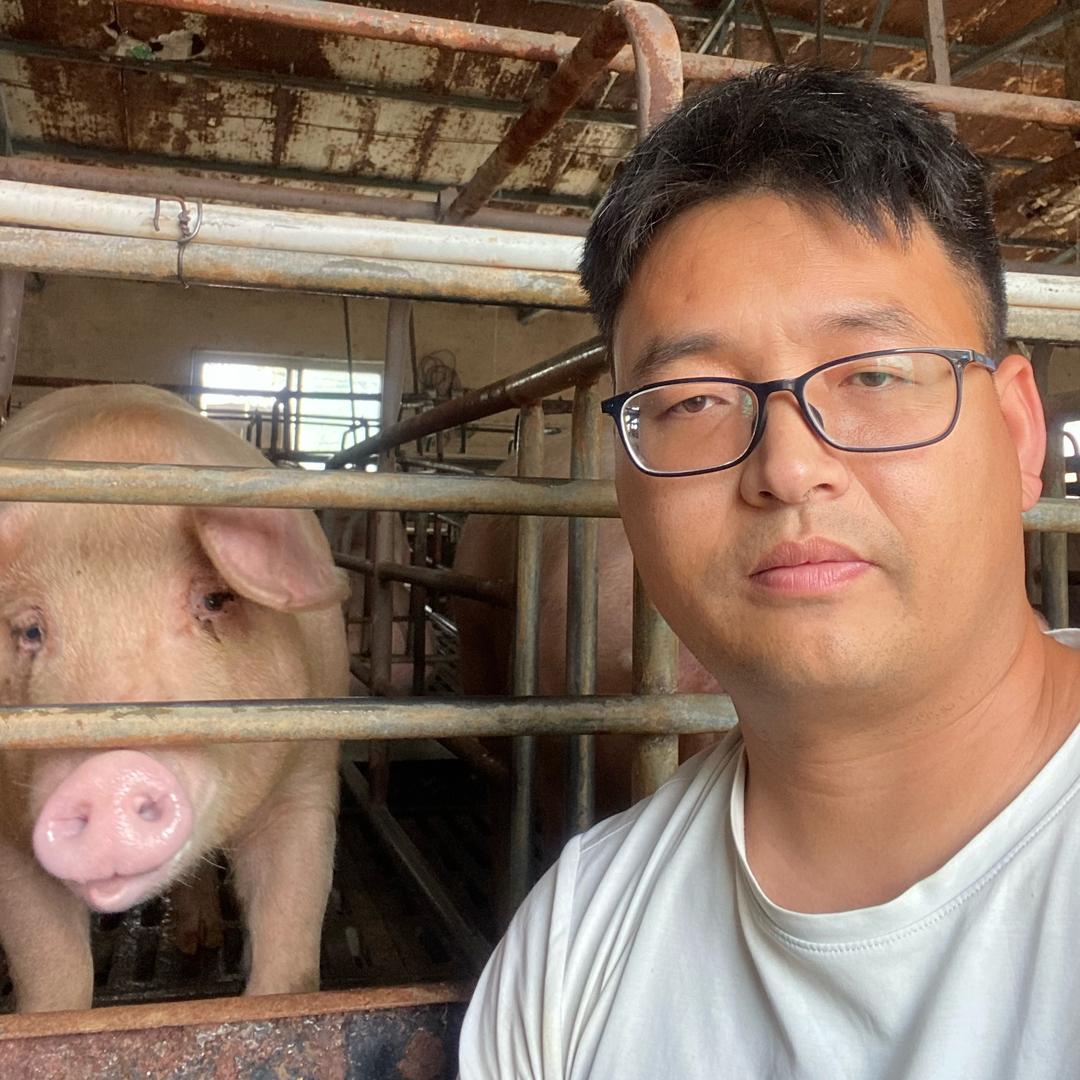 飞哥养猪鑫银涛生物科技有限公司