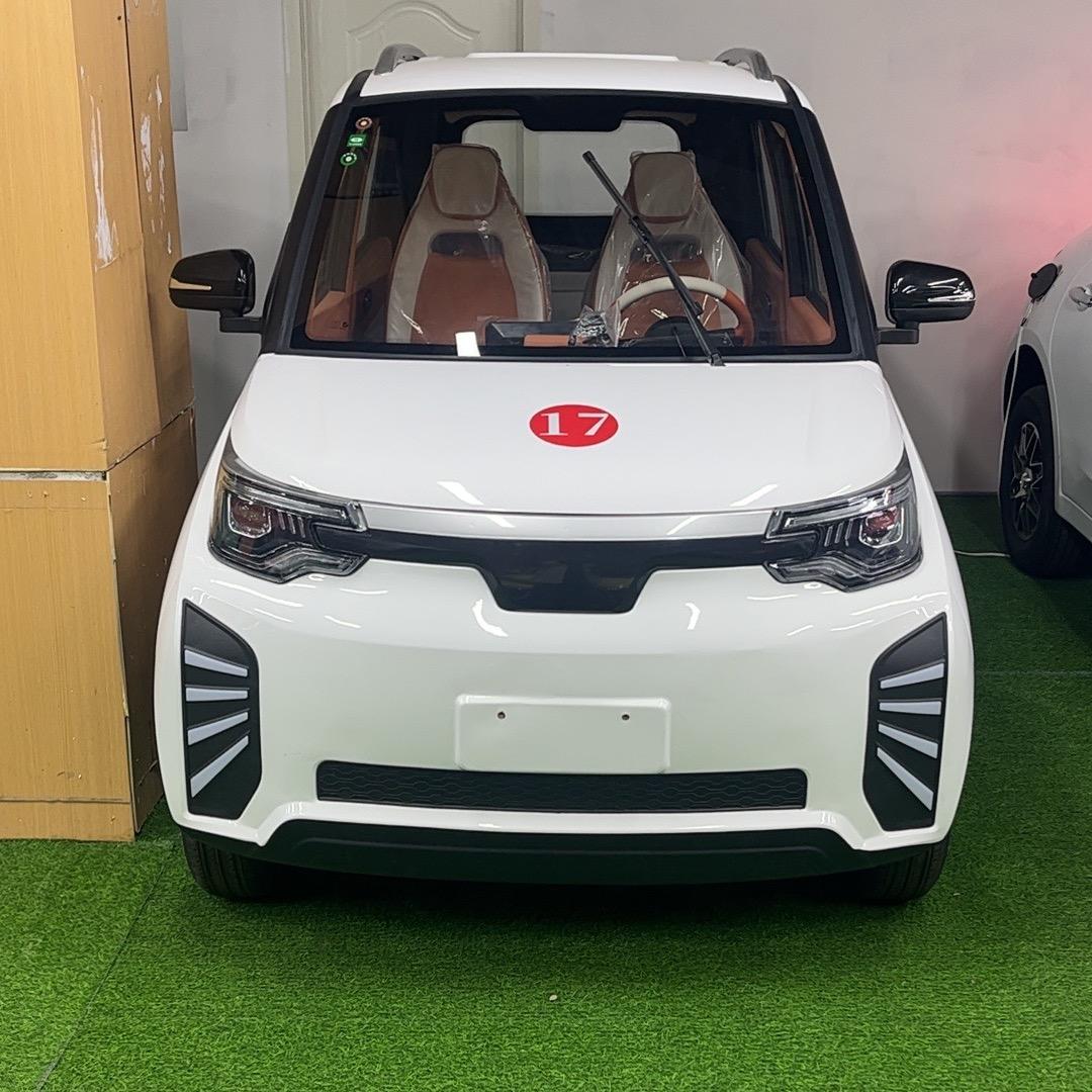 小丽新能源厂家