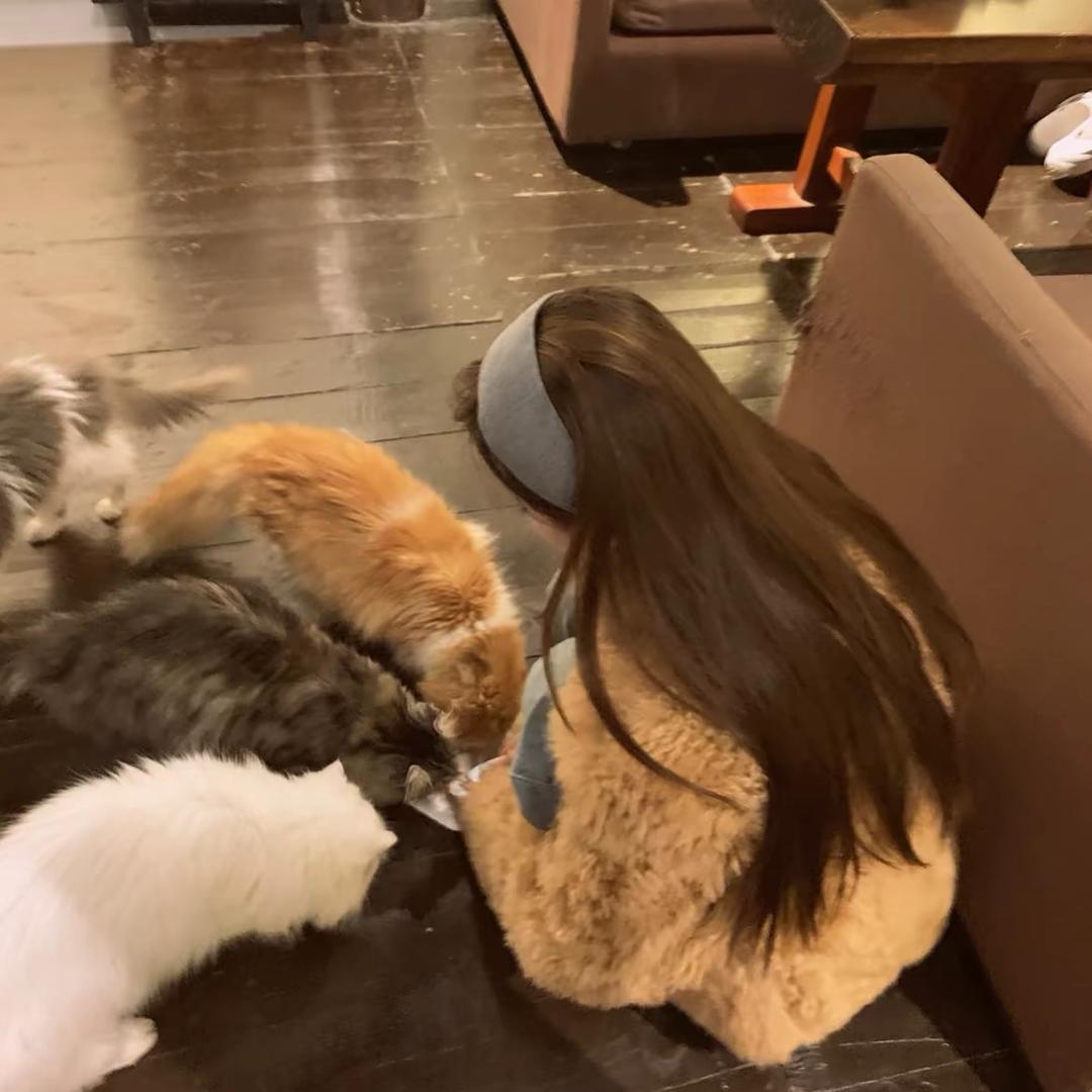 hi