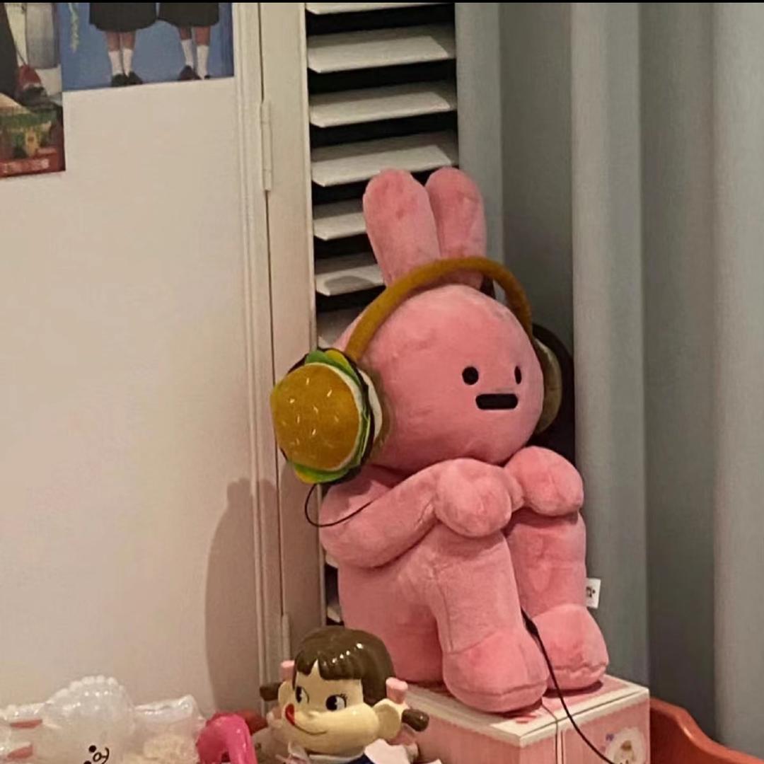 小🐑睡不着