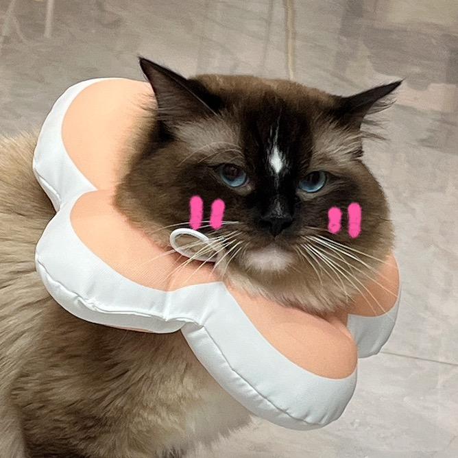 尛乄妮妮